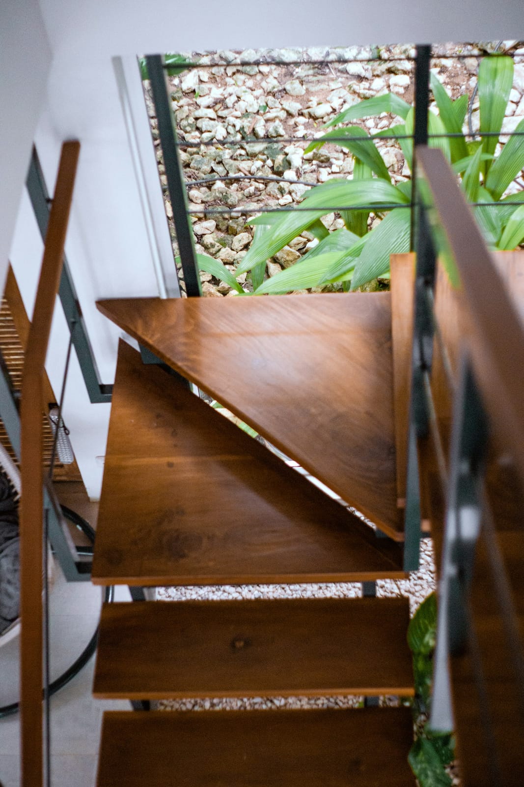 Table monoxyle en noyer